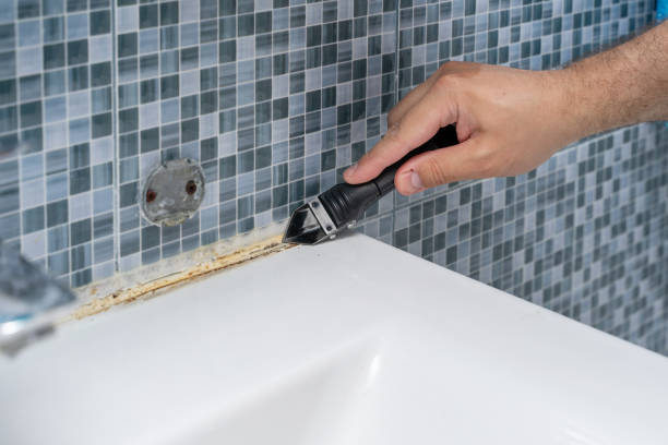 Best Attic Mold Removal  in Rainsville, AL